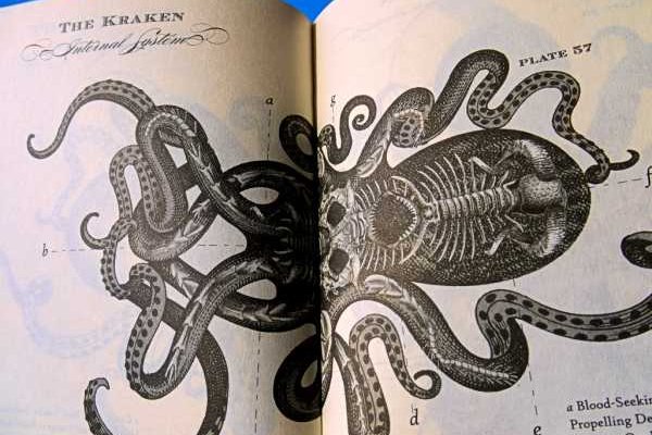 Кракен даркнет тор